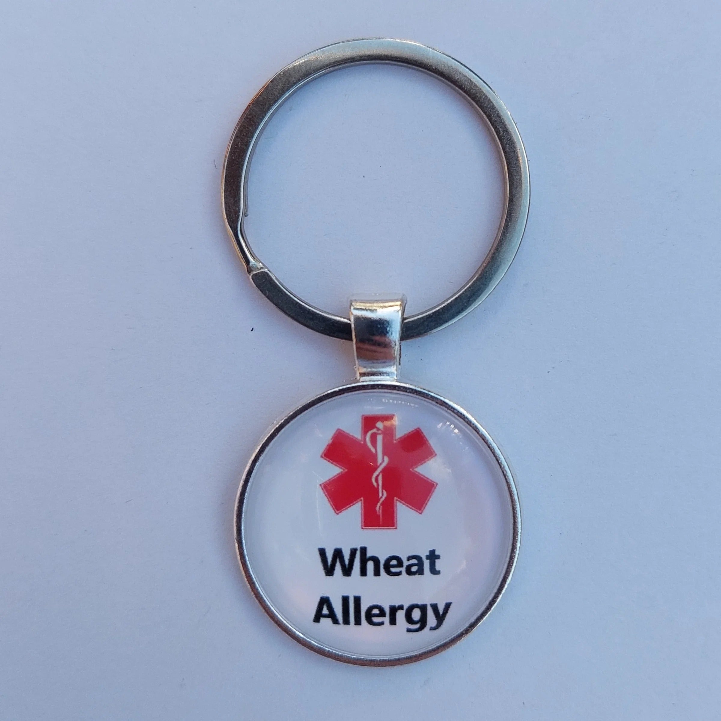 Medical and Allergy Alert (Necklace Pendants)